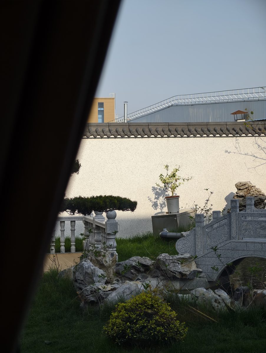 窗外庭院：白墙与太湖石假山