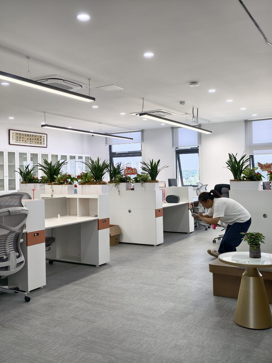 开放工区全景:成排白色工位配绿植